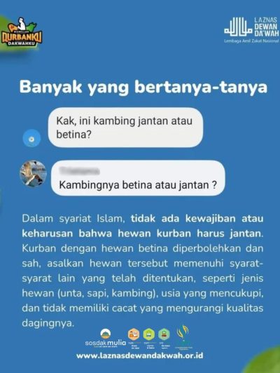 Memangnya Qurban Harus Jantan
